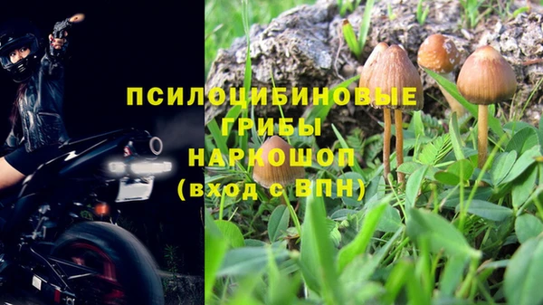 PSILOCYBIN Няндома