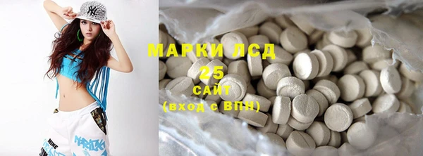 гидра Новодвинск