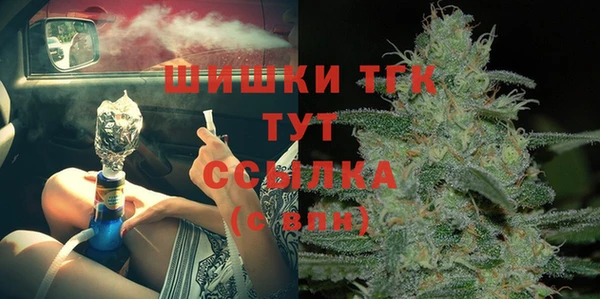 PSILOCYBIN Няндома