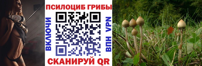 Галлюциногенные грибы мухоморы  Беломорск 